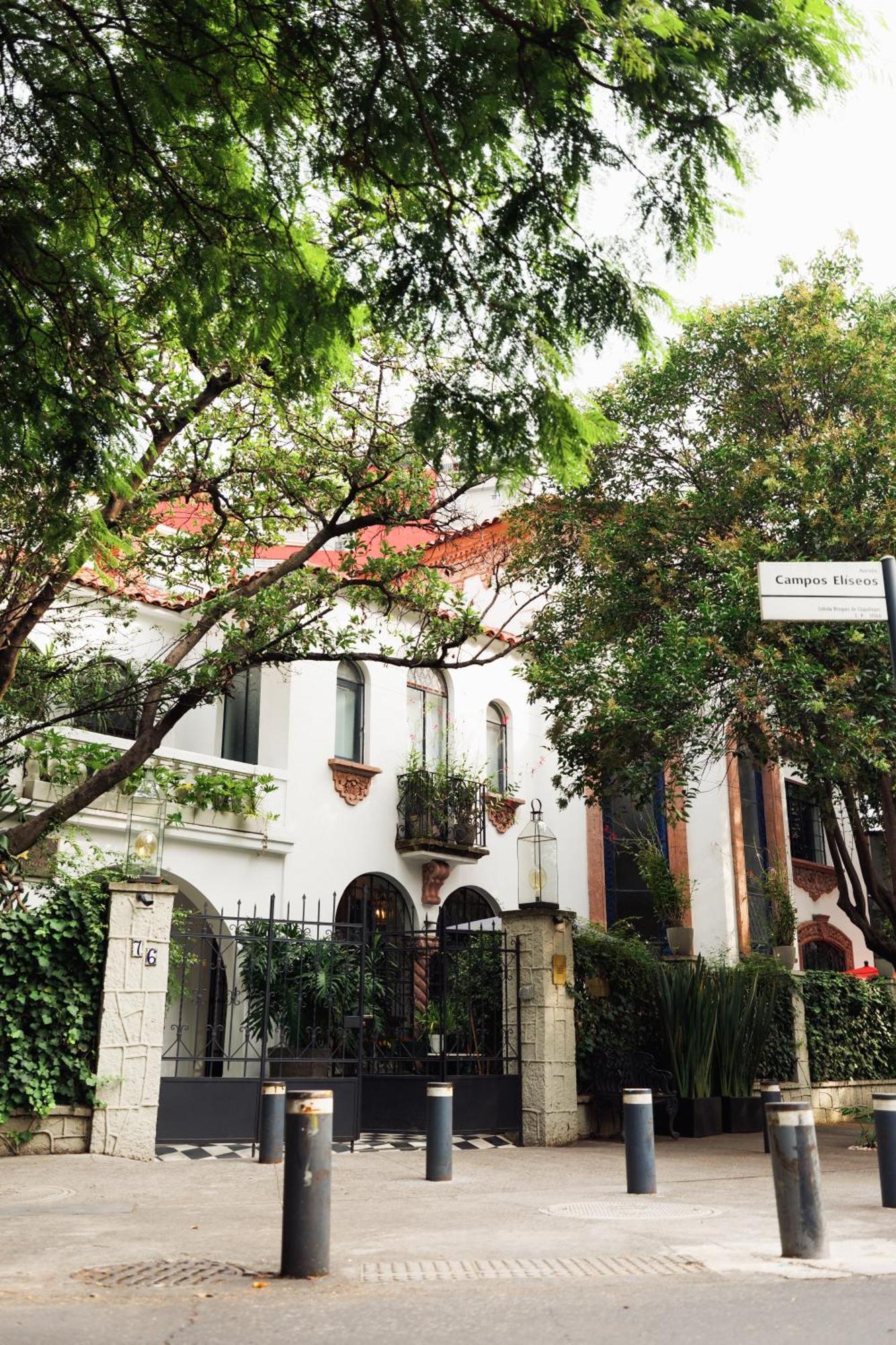 Orchid House Polanco Hotell Mexico City Exteriör bild