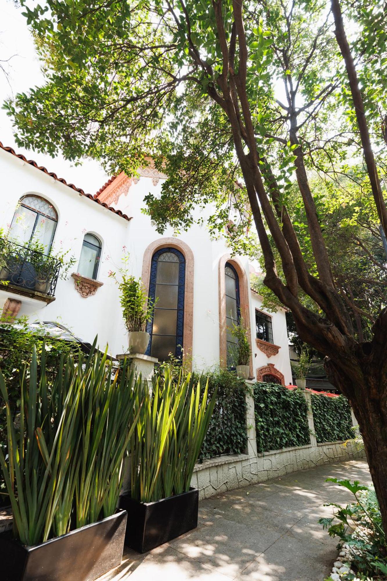 Orchid House Polanco Hotell Mexico City Exteriör bild
