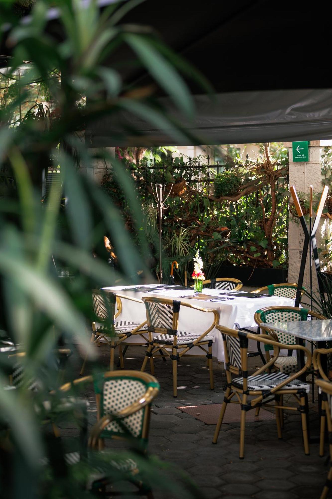 Orchid House Polanco Hotell Mexico City Exteriör bild