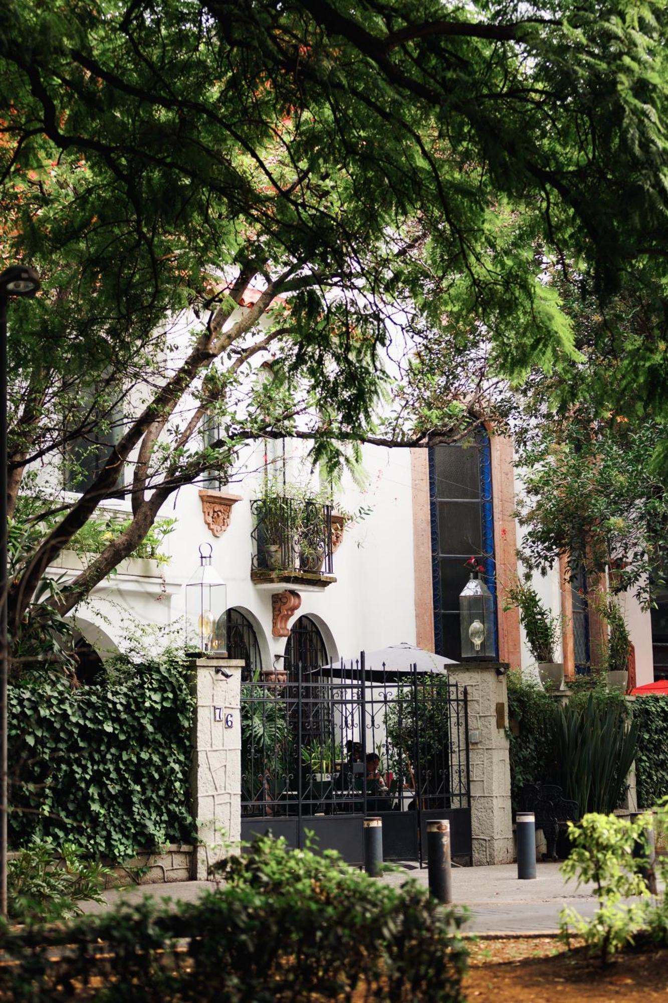 Orchid House Polanco Hotell Mexico City Exteriör bild