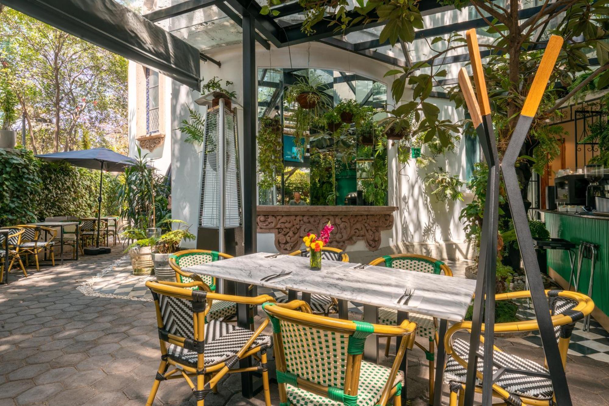 Orchid House Polanco Hotell Mexico City Exteriör bild
