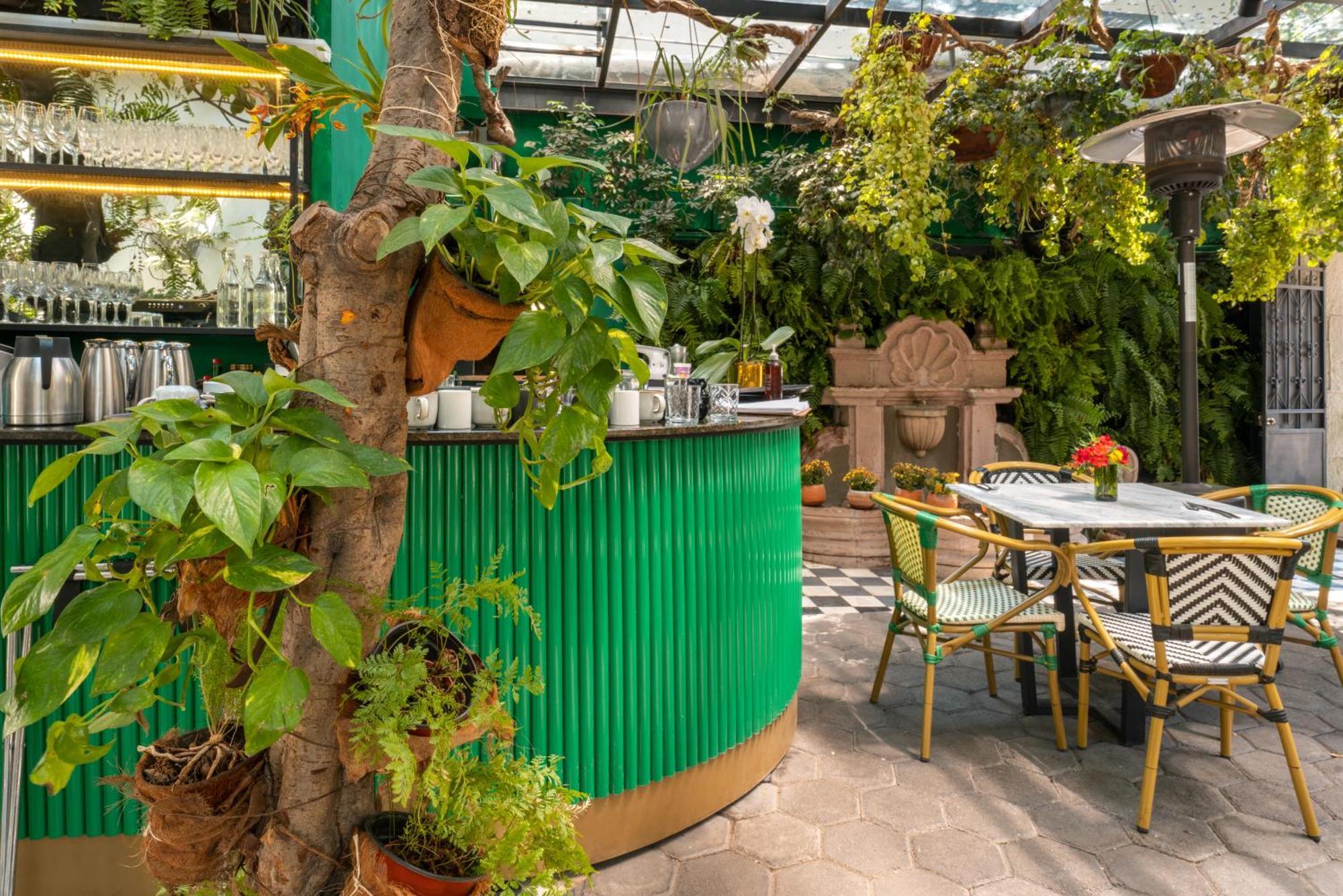 Orchid House Polanco Hotell Mexico City Exteriör bild